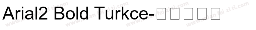 Arial2 Bold Turkce字体转换